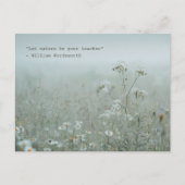 Wildflower Meadow - nature aesthetic Postkarte (Vorderseite)
