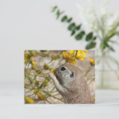 Wildflower Snack Postcard Postkarte (Stehend Vorderseite)