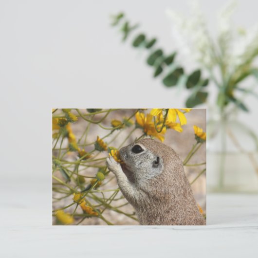 Wildflower Snack Postcard Postkarte (Stehend Vorderseite)