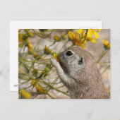 Wildflower Snack Postcard Postkarte (Vorne/Hinten)