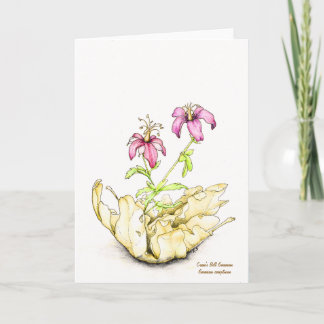 Wildflower watercolor geranium blank inside karte