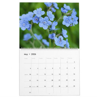Wildflower Wonders – A Year of Natural Beauty Kalender