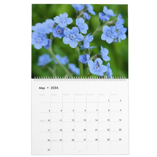 Wildflower Wonders – A Year of Natural Beauty Kalender (Mai 2026)