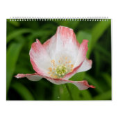 Wildflower Wonders – A Year of Natural Beauty Kalender (Titelbild)