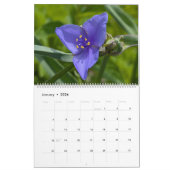 Wildflower Wonders – A Year of Natural Beauty Kalender (Jan 2026)