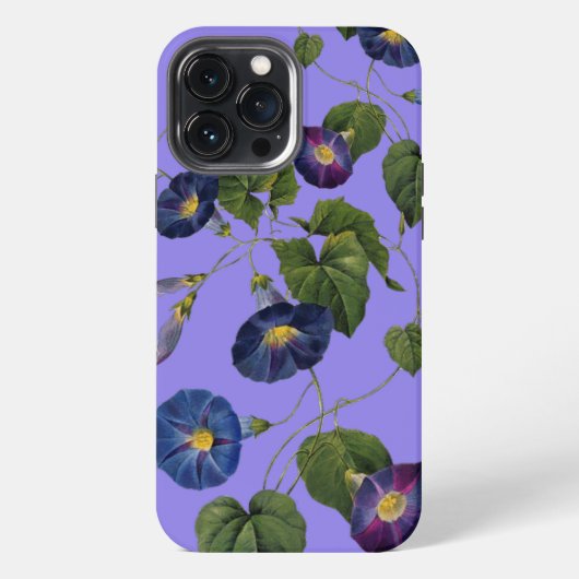 'Wildflowers' Apple Hülle iPhone Hülle (Rückseite)