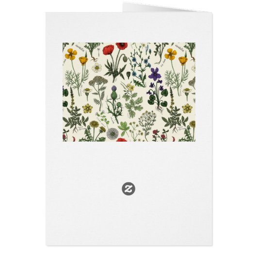 Wildflowers collage (Hinten)