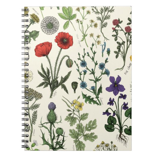 Wildflowers collage notizblock (Vorderseite)