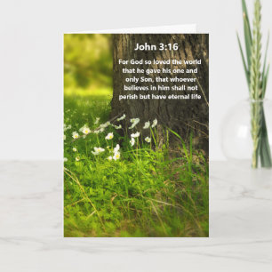 WildFlowers John 3,16 Grußkarte mit Bibelvers Karte