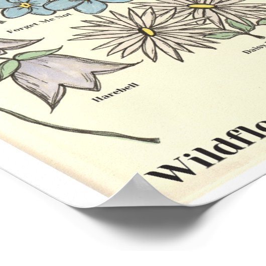 Wildflowers of Michigan Hand Drawn Art Print Poster (Ecke)