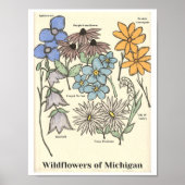 Wildflowers of Michigan Hand Drawn Art Print Poster (Vorne)