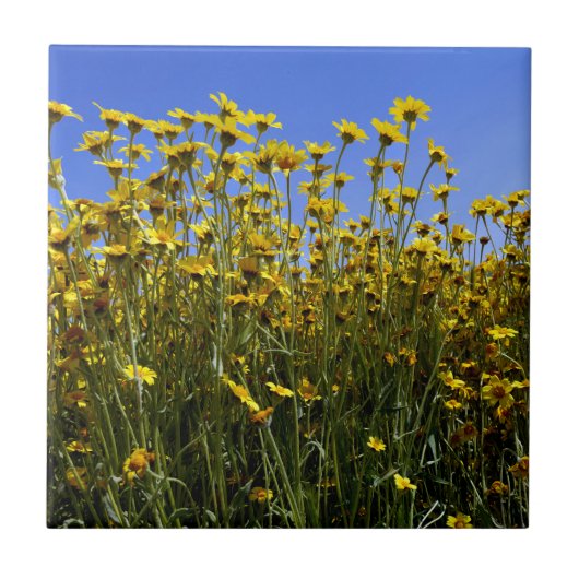 Wildflowers Sunflowers Fliese (Vorderseite)