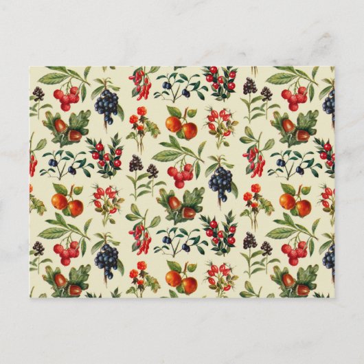 Wildfrüchte im ländlichen Raum Postkarte (Vorderseite)