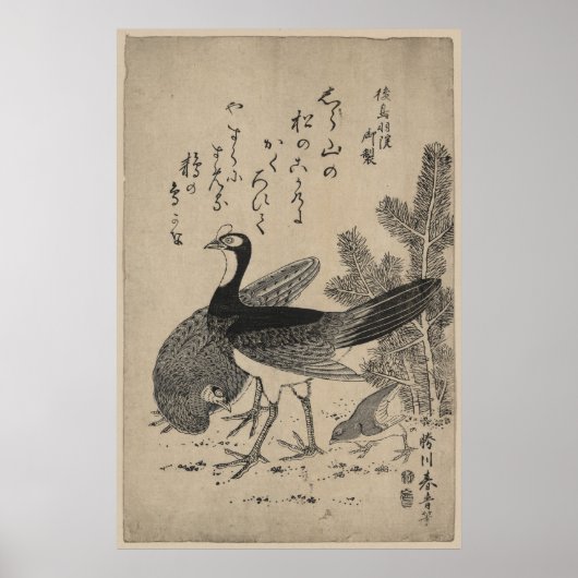 Wildgeflügel und Kiefer Poster (Vorne)