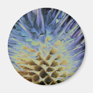 Wildgras Explosionsmagnet Magnet