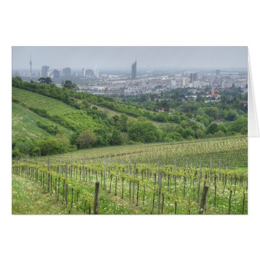 Wildgrube (Vorderseite (Horizontal))