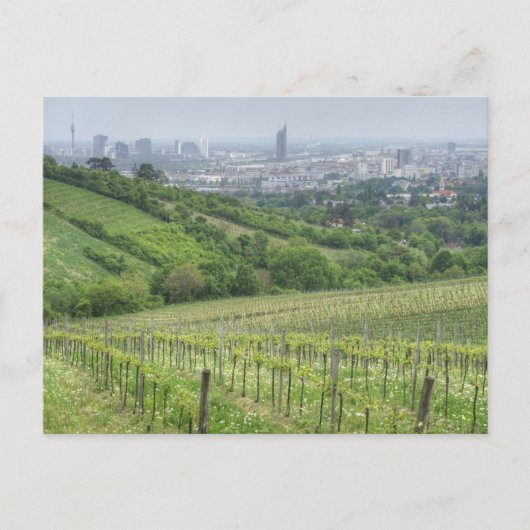 Wildgrube Postkarte (Vorderseite)