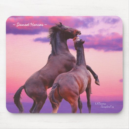 Wildhengste Pferde Sonnenaufgang Mousepad (Vorne)