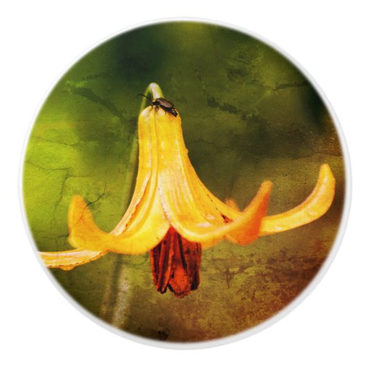 Wildkanadische Lilie mit Insekten Abstrakt Keramikknauf (Vorderseite)