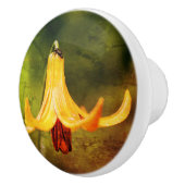 Wildkanadische Lilie mit Insekten Abstrakt Keramikknauf (Rechts)