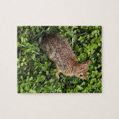 Wildkaninchen im Gras und Klee, Rätsel Puzzle (Horizontal)