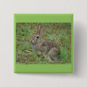 Wildkaninchen Ostküstenschwanz II Apparel & Gesche Button (Vorderseite)