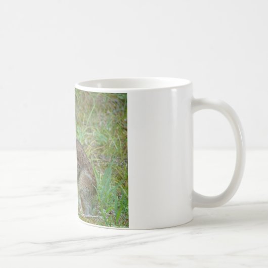 Wildkaninchen Ostküstenschwanz II Apparel & Gesche Kaffeetasse (Rechts)