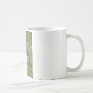 Wildkaninchen Östliche Baumwollschwanzkleidung und Kaffeetasse