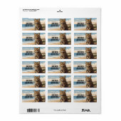 Wildkatze Adressaufkleber (Vorne)