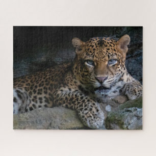 Wildkatze Jaguar Tier Puzzle
