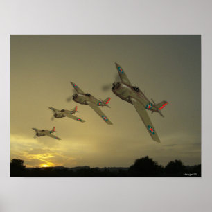 Wildkatze Poster