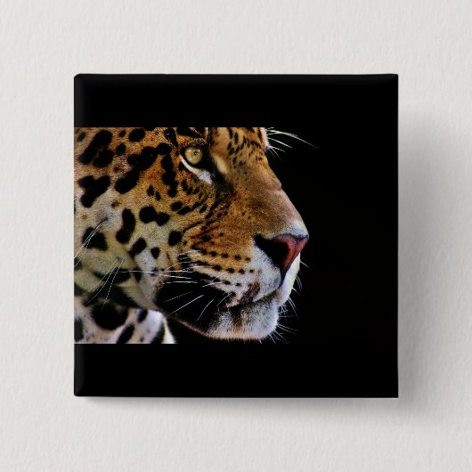 Wildkatze schnurrt button (Vorderseite)