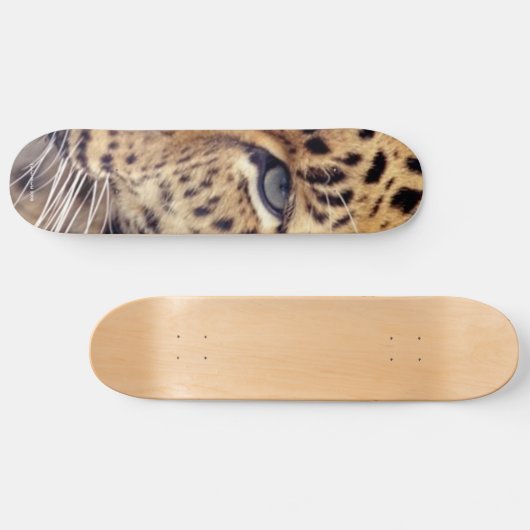 Wildkatze Skateboard (Horizontal)
