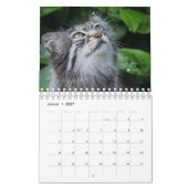 Wildkatzen. Kalender (Jan 2027)