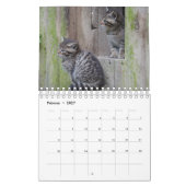 Wildkatzen. Kalender (Feb 2027)