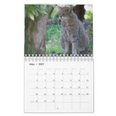 Wildkatzen. Kalender (Mär 2027)