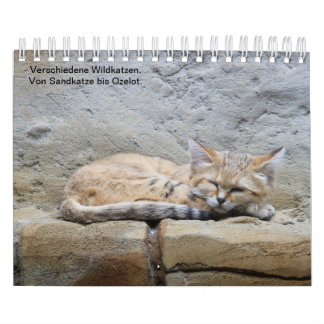 Wildkatzen. Kalender