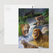 Wildkatzen Postkarte (Vorne/Hinten)