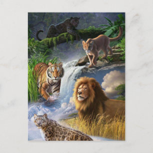 Wildkatzen Postkarte
