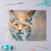 Wildkatzenpapier Seidenpapier (Basteln)