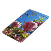 Wildkirsche Rosa Blossom Tree Magnet (Linke Seite)