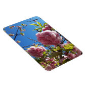 Wildkirsche Rosa Blossom Tree Magnet (Rechte Seite)