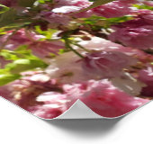 Wildkirsche Rosa Blossom Tree Poster (Ecke)