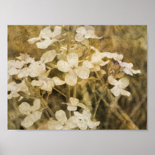 Wildlblumen Poster