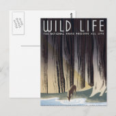 Wildleben Postkarte (Vorne/Hinten)