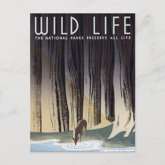 Wildleben Postkarte (Vorderseite)