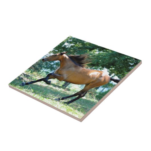 Wildleder-Morgan-Pferd Fliese (Seite)