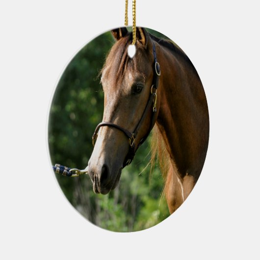 Wildleder-Morgan-Pferd Keramik Ornament (Rechts)