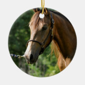 Wildleder-Morgan-Pferd Keramik Ornament (Vorne)