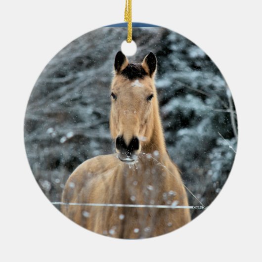 Wildleder-Pferdewinter Keramik Ornament (Hinten)